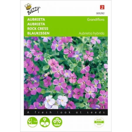 Aubrietia hybrida mix 0.15g