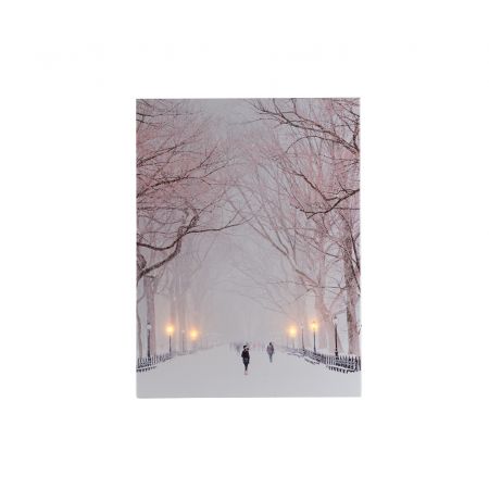 B.O. LED CANVAS  30X40CM PARK IN SNEEUW 4LED