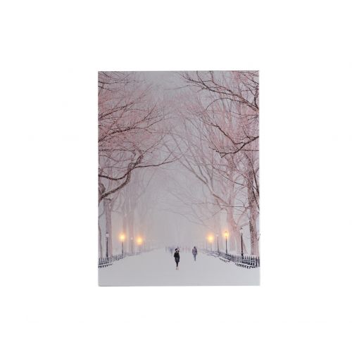 B.O. LED CANVAS 30X40CM PARK IN SNEEUW 4LED