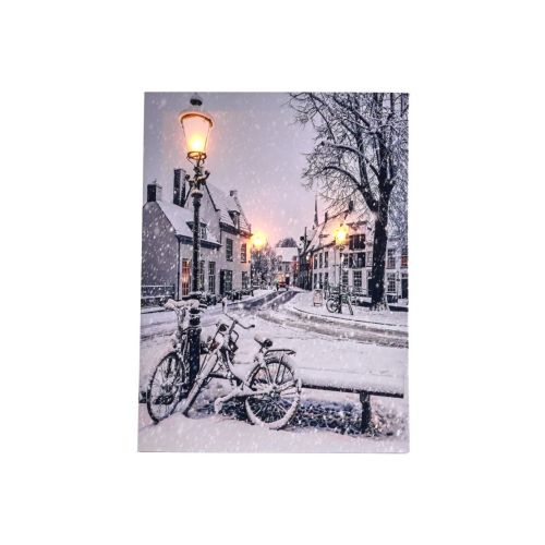 B.O. LED CANVAS FIETS 30X40CM 3LED