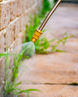 Bestrijding - Bekämpfung