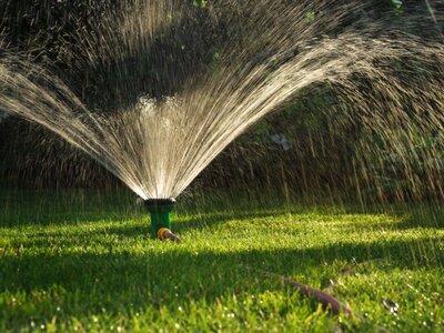 Bewatering - Bewässerung