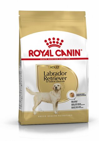 Labrador Retriever 30 Adult - 3 kg