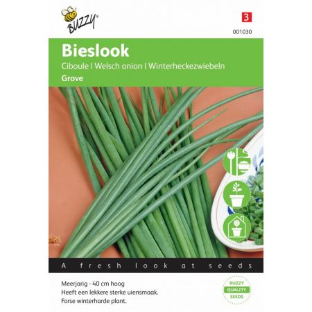 Bieslook grof allium fistulos 2g
