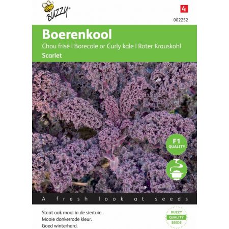 Boerenkool scarlet paars 2g