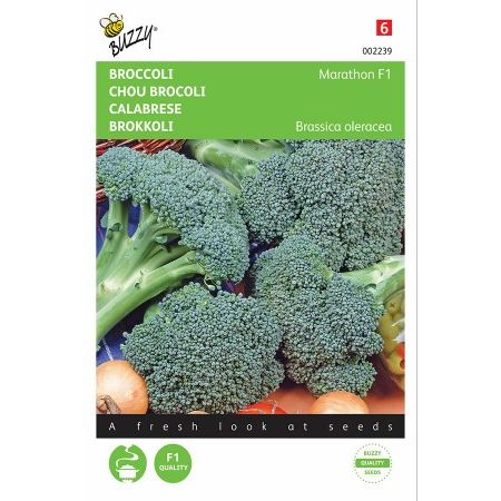 Broccoli southern c. f1 75zd