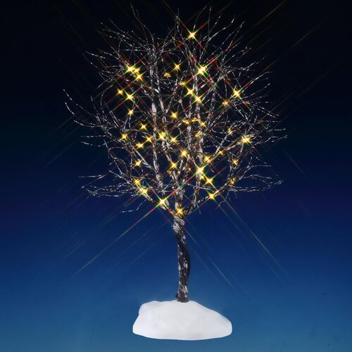 BUTTERNUT TREE, CLEAR LIGHT