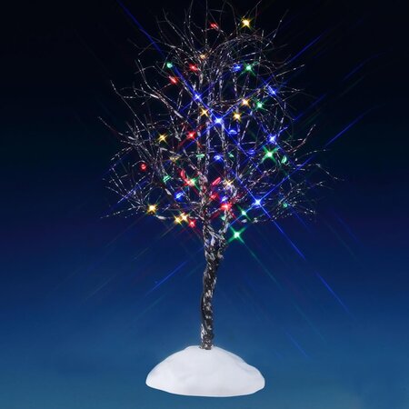BUTTERNUT TREE, MULTI LIGHT