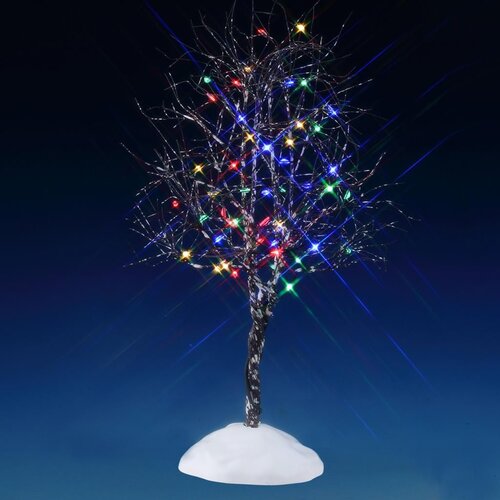 BUTTERNUT TREE, MULTI LIGHT
