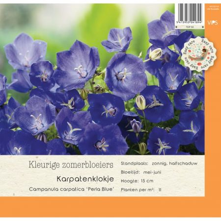 Campanula carpatica Perla Blue P9