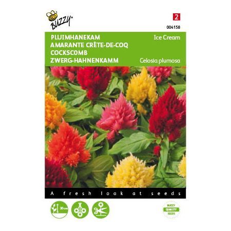 Celosia ice cream mixed 100zdn