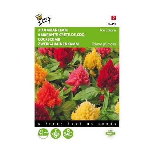 Celosia ice cream mixed 100zdn