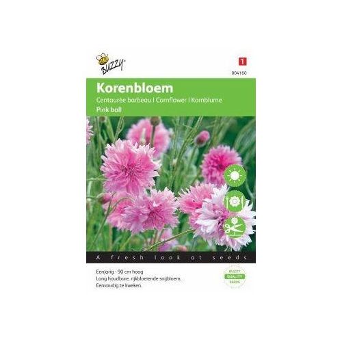 Centaurea cyanus pink ball 1g