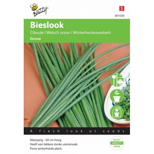 Chinese knoflook bieslook 1g