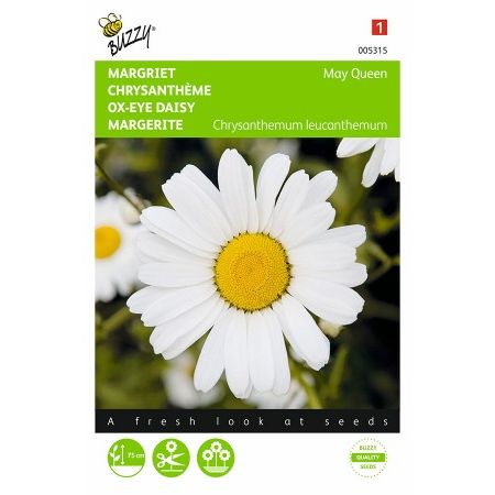 Chrysanthemum leucanthemum m 0.75g