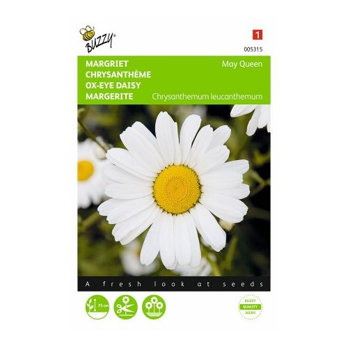 Chrysanthemum leucanthemum m 0.75g