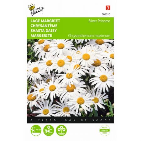 Chrysanthemum max.nanum silver 0.5g