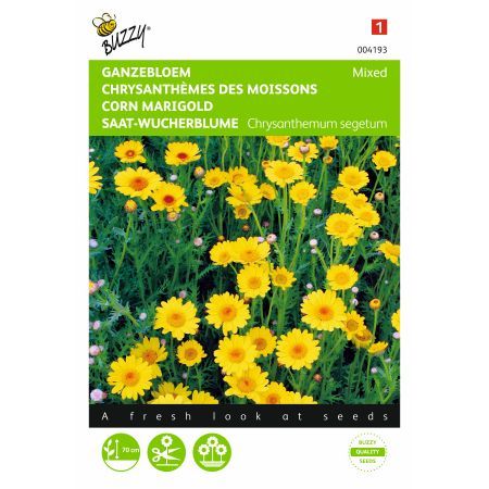 Chrysanthemum segetum mix 0.2g