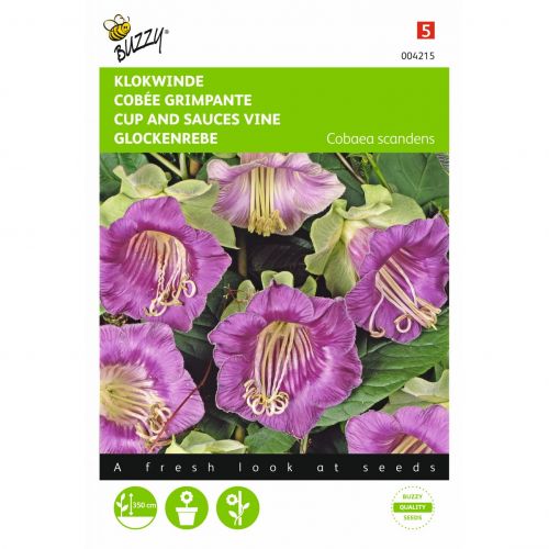 Cobaea scandens violetblauw 1g