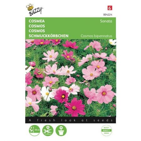 Cosmea sonate mix 0.6g