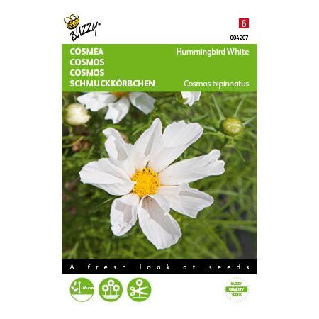 Cosmos hummingbird white