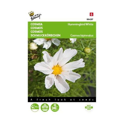 Cosmos hummingbird white