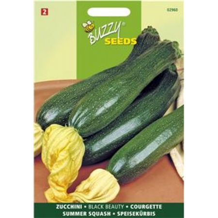 Courgette black beauty 5g