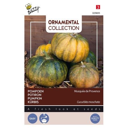 Courgette musque de provence 1.5g