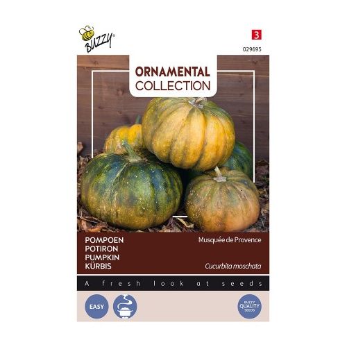 Courgette musque de provence 1.5g