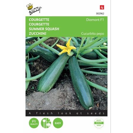 Courgette zucchini diamont f1 2g