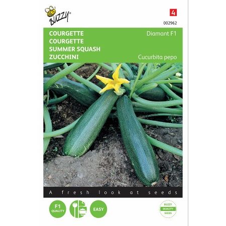 Courgette zucchini diamont f1 2g