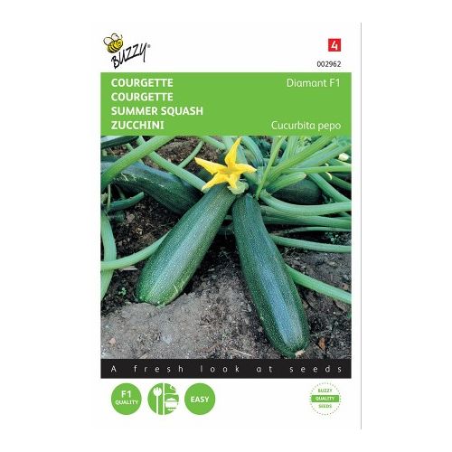 Courgette zucchini diamont f1 2g