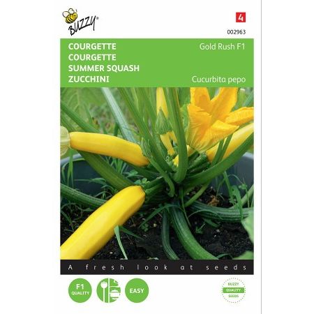 Courgette zucchini gold rush f1 2g