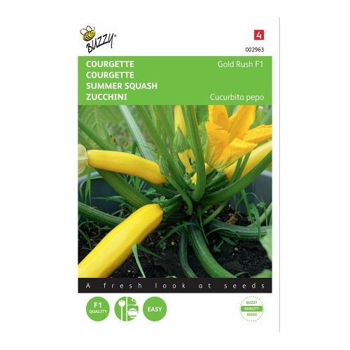 Courgette zucchini gold rush f1 2g