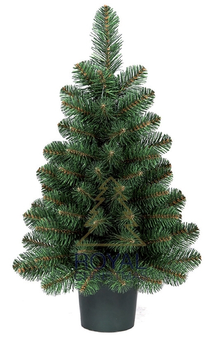 Zoeken Verslaggever uitrusting Royal Christmas Kunstkerstboom DAKOTA POT TREE 90CM IN PLASTIC BASKET -  Tuincentrum Schmitz