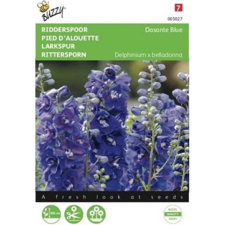 Delphinium dasante blue 20zdn