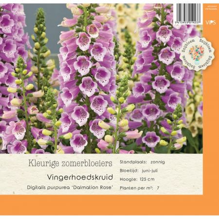 Digitalis Dalmation Rose p9