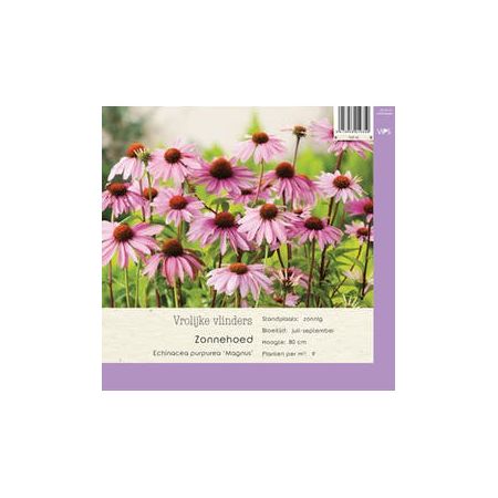 Echinacea purpurea Magnus p9