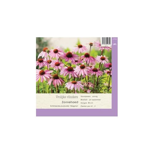 Echinacea purpurea Magnus p9