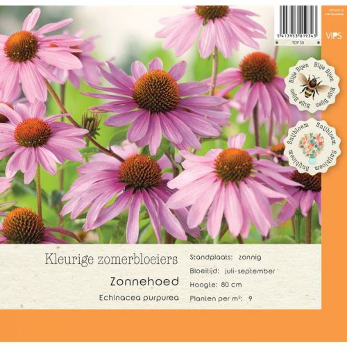 Echinacea purpurea p9