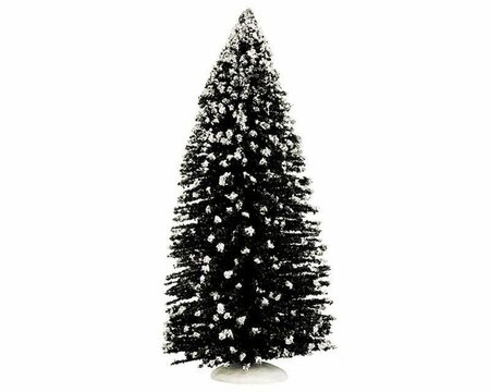 EVERGREEN TREE, JUMBO