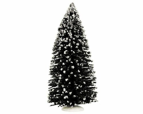 EVERGREEN TREE, JUMBO