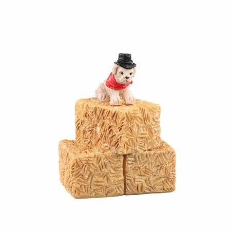 FARM "ANIMALS"