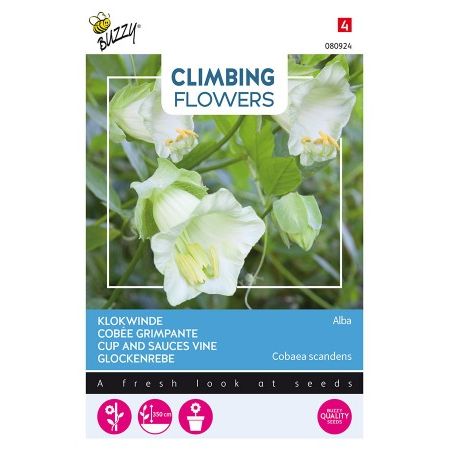 Flowering climbers cobaea wit 2g