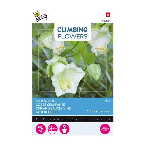 Flowering climbers cobaea wit 2g