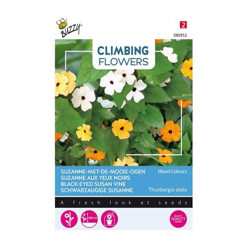 Flowering climbers thunbergia 0.5g - afbeelding 2