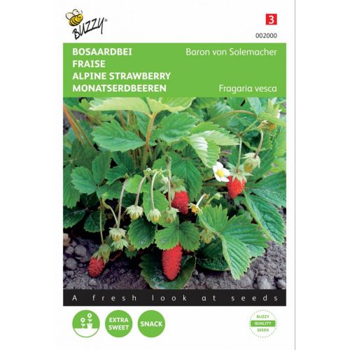 Fragaria baron v. solemacher 0.25g