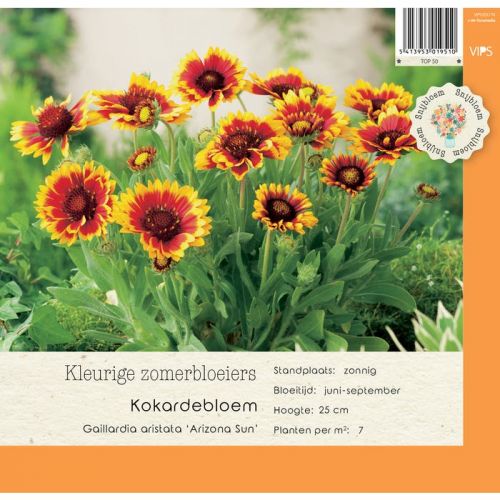 Gaillardia aristat Arizona Sun p9