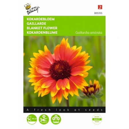 Gaillardia aristata kokardebl 0.75g