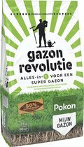 Gazon revolutie 4kg - afbeelding 1